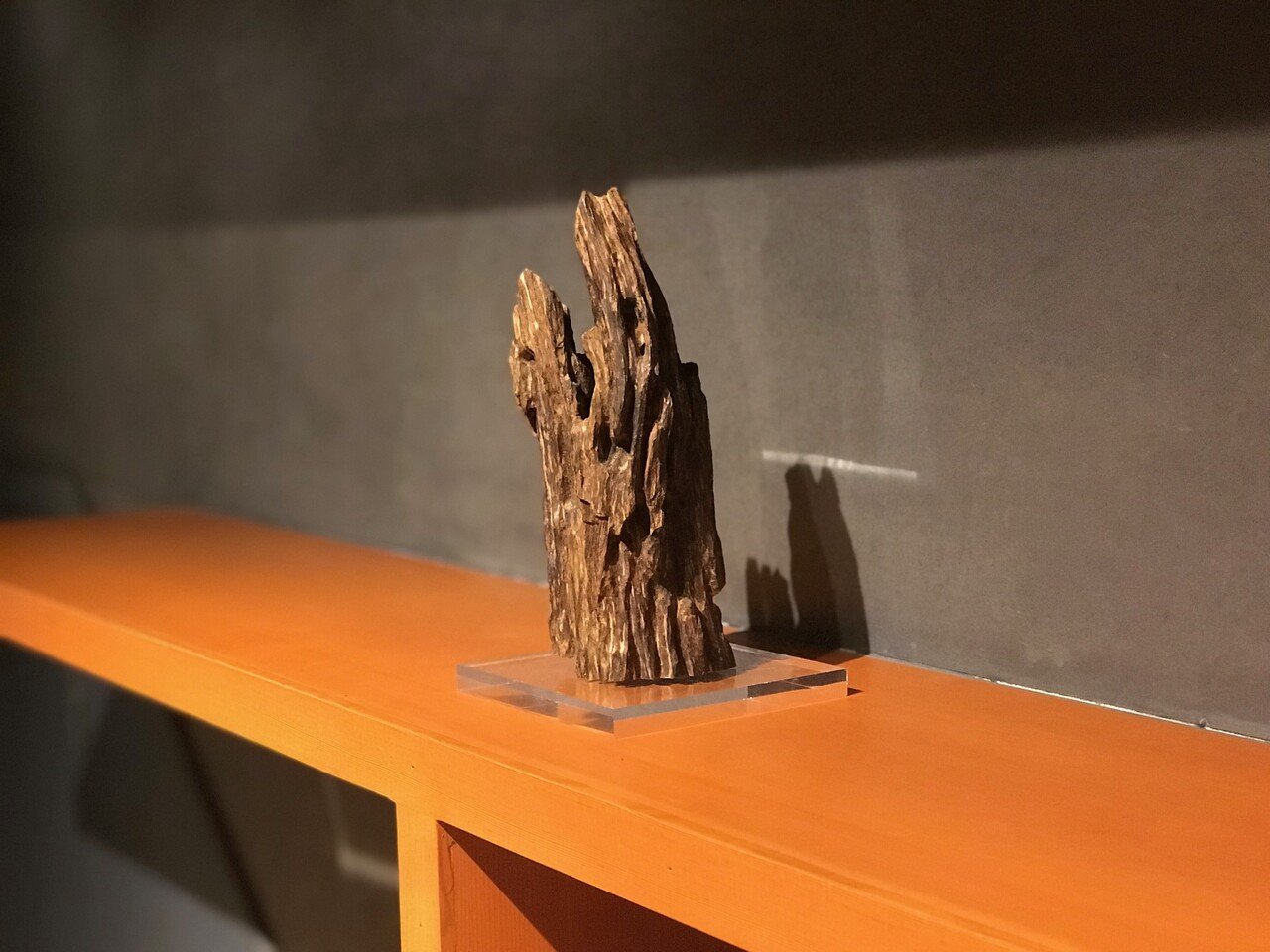 極上緑油伽羅 沈香原木 香木 重さ:5.8g (高ランク本物証明) 極上緑油