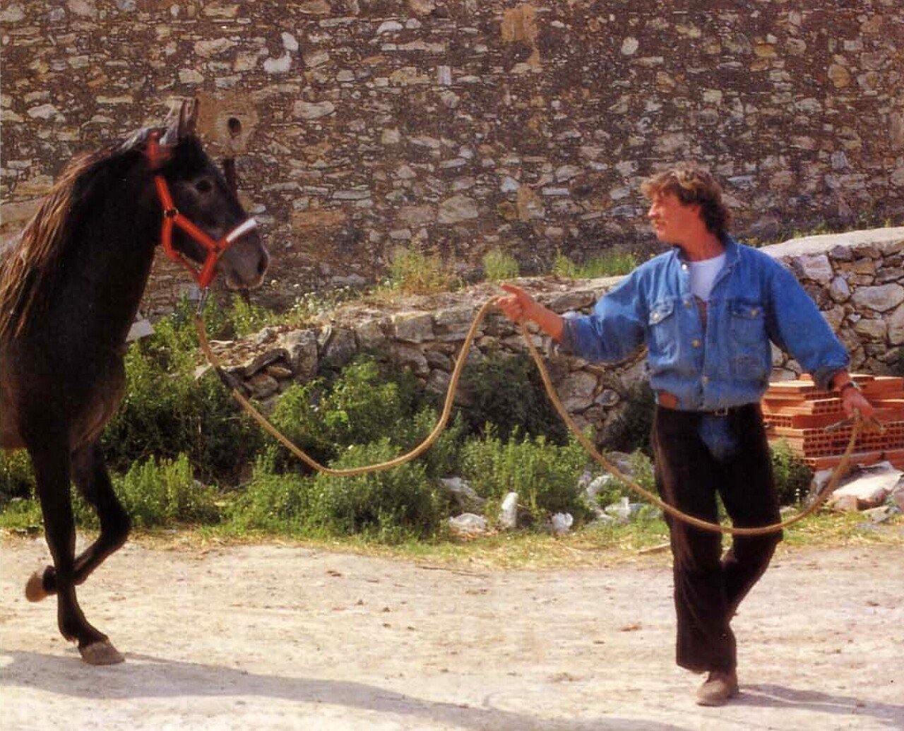 クラウス・フェルディナンド・ヘンプフリンク著「馬と踊ろう」”Dancing