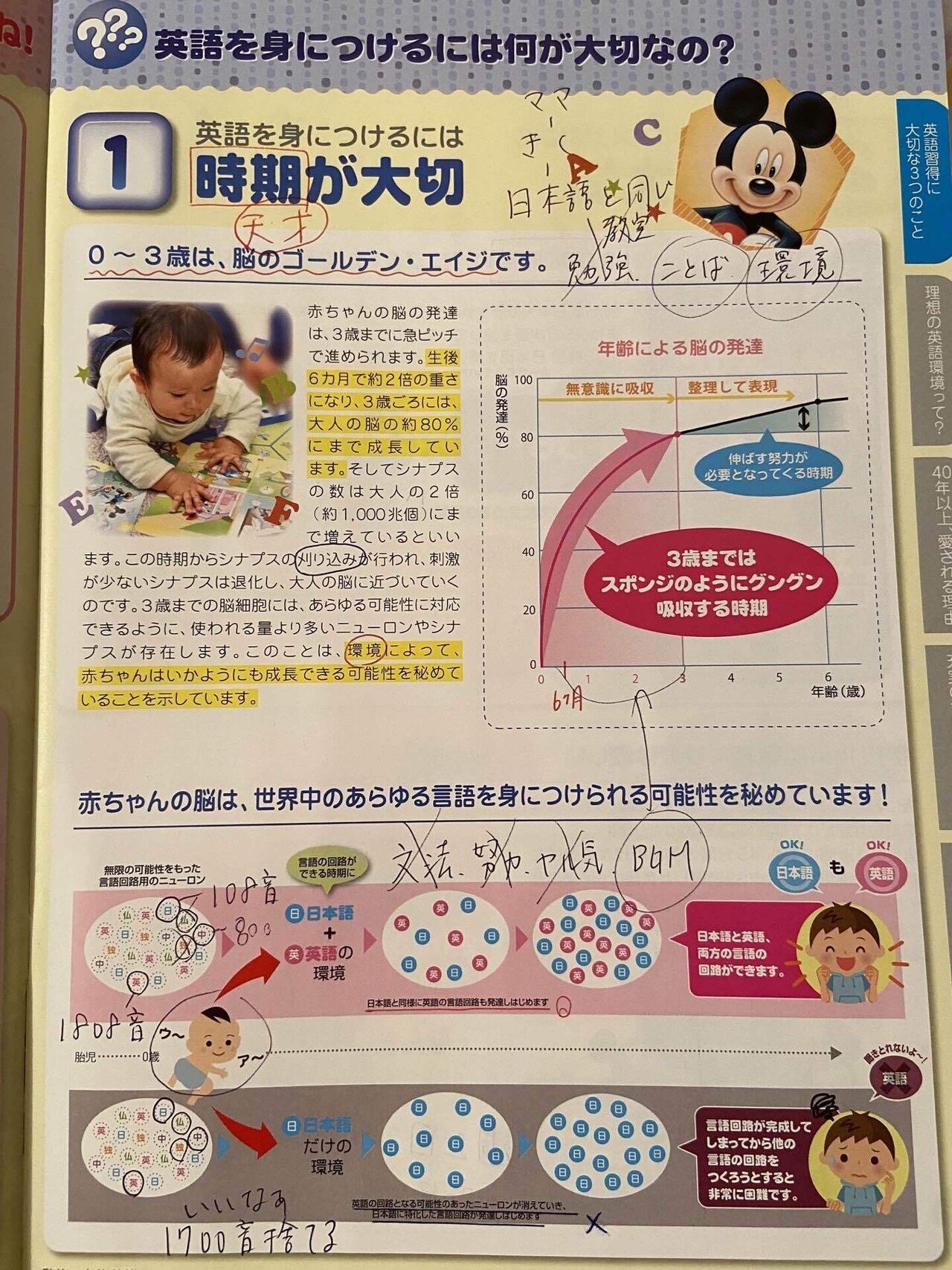 永久保存版】ディズニー英語システムを98万1200円で契約した話｜嶋津