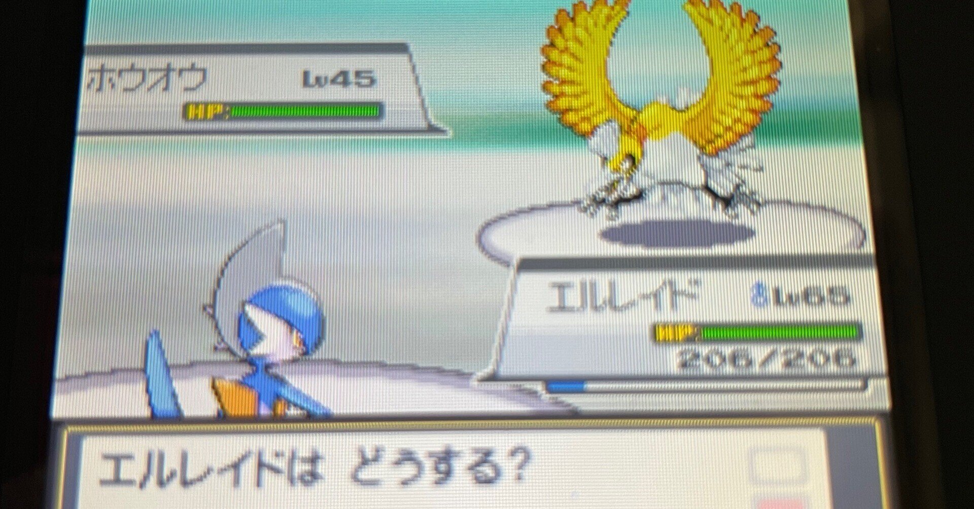 ポケットモンスター DS ポケットモンスターハートゴールド ソウル