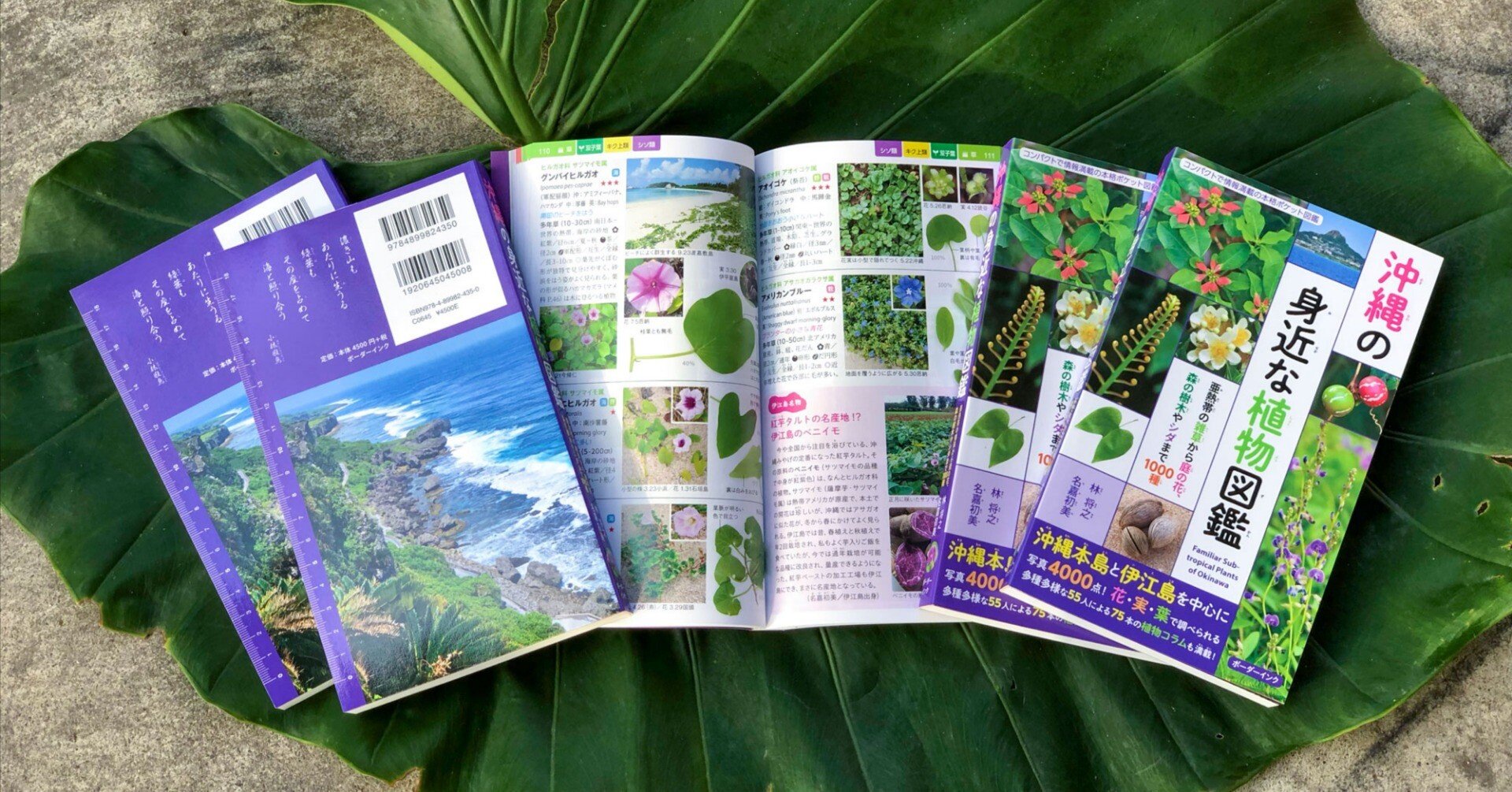 8e26c5ac972a1dd44f85542a384bc2