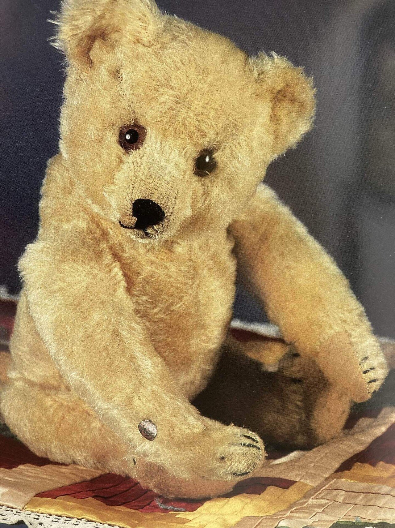 Gebrüder Bing ｜ぼくはくま