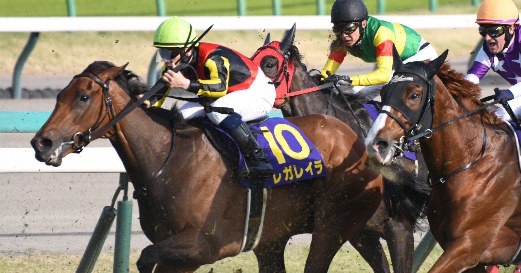 サンデーサラブレッドクラブ 2024募集馬(2023年産)AI馬体診断｜Koji Maeda