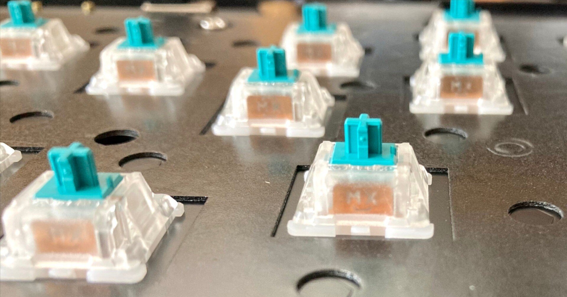 1ddacccadc4ed1f9dbdb8222c66559