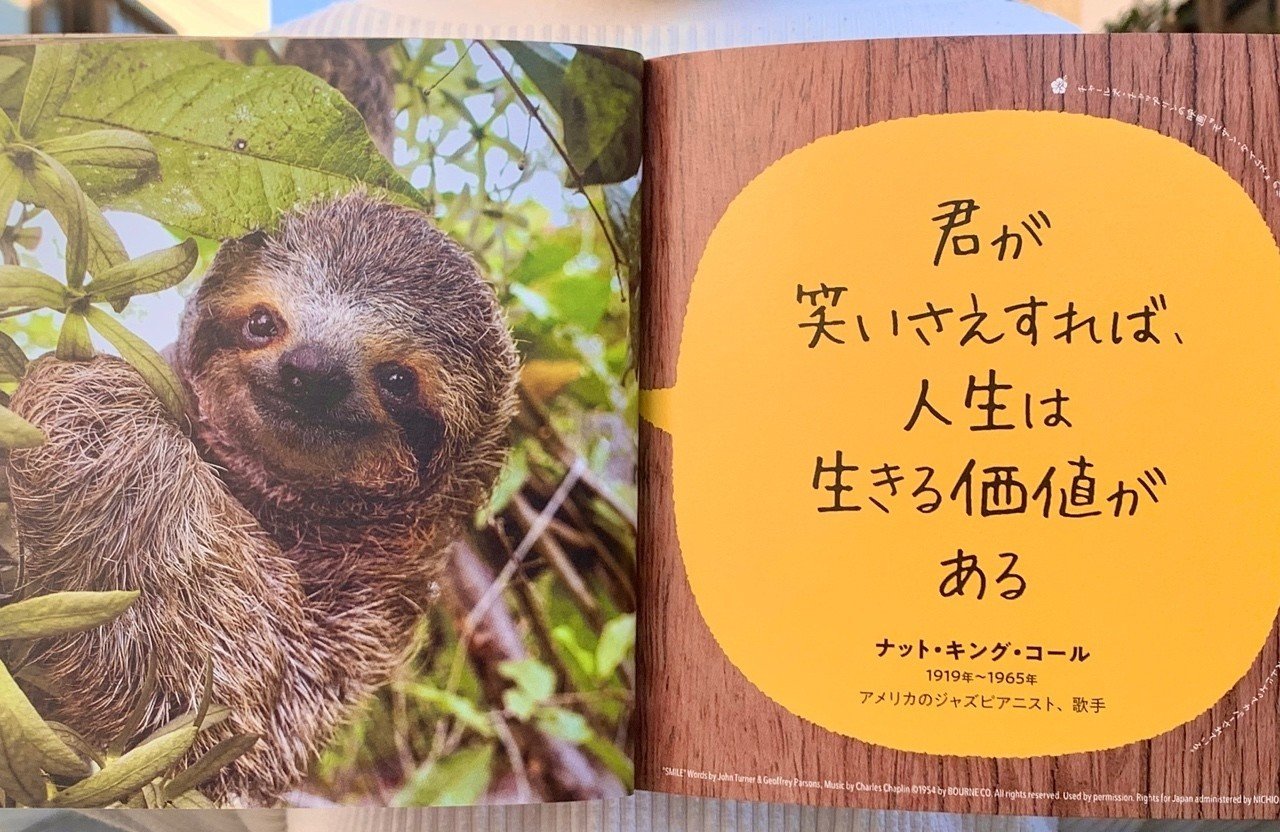 ナマケモノに学ぶ周囲に流されない生き方｜光文社新書