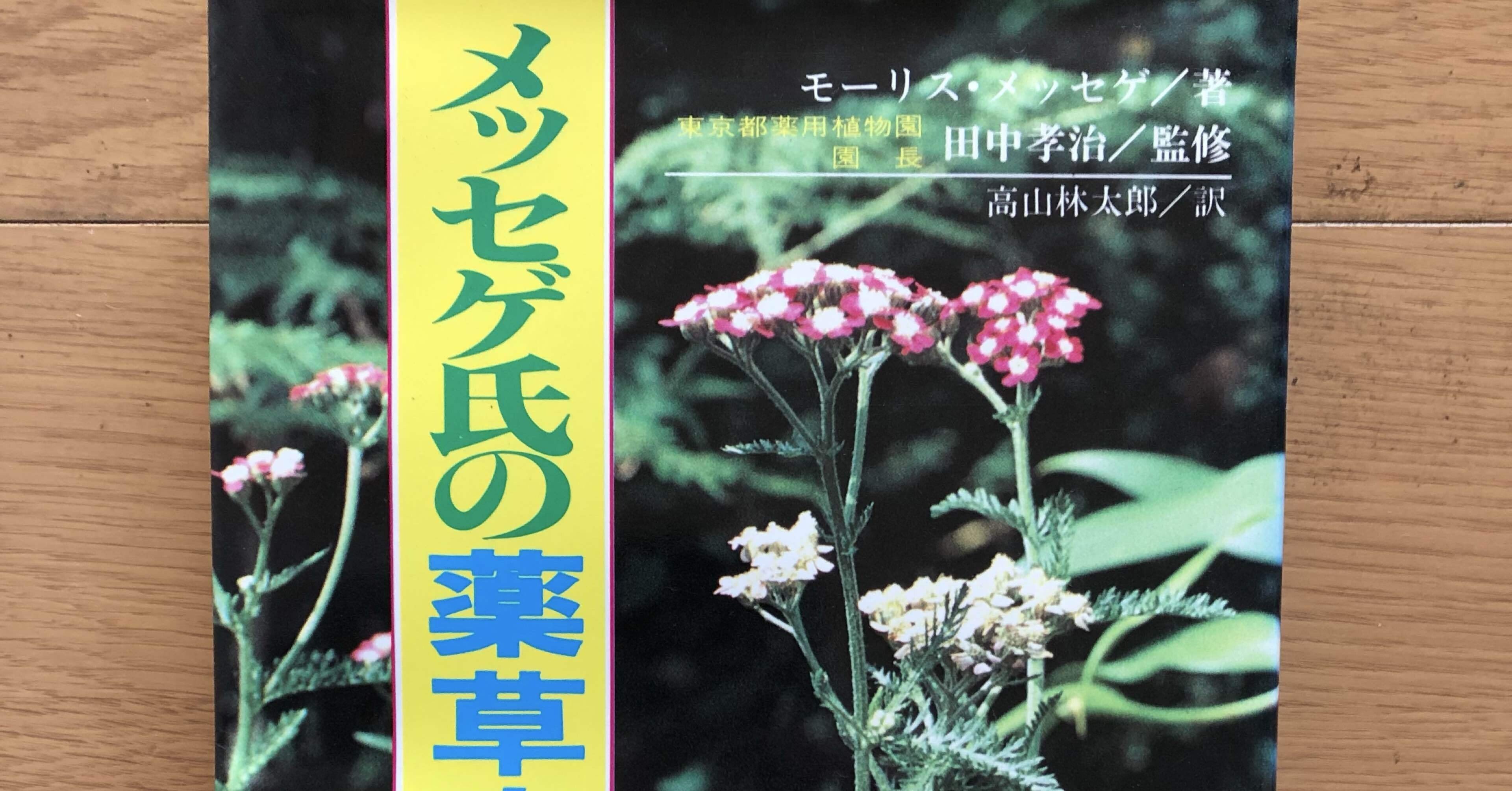 メッセゲ氏の薬草療法｜銀漢堂書林
