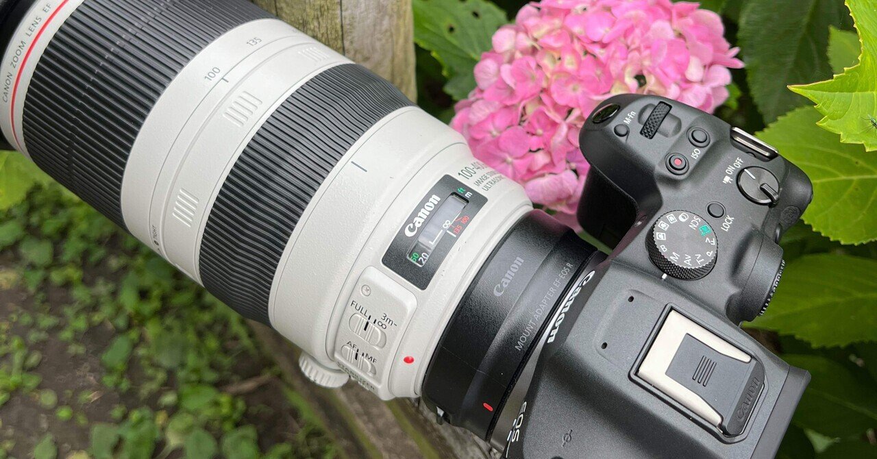 間違いばかりのカメラ選び②】すぐに超望遠レンズを買う人｜Alice_photolog