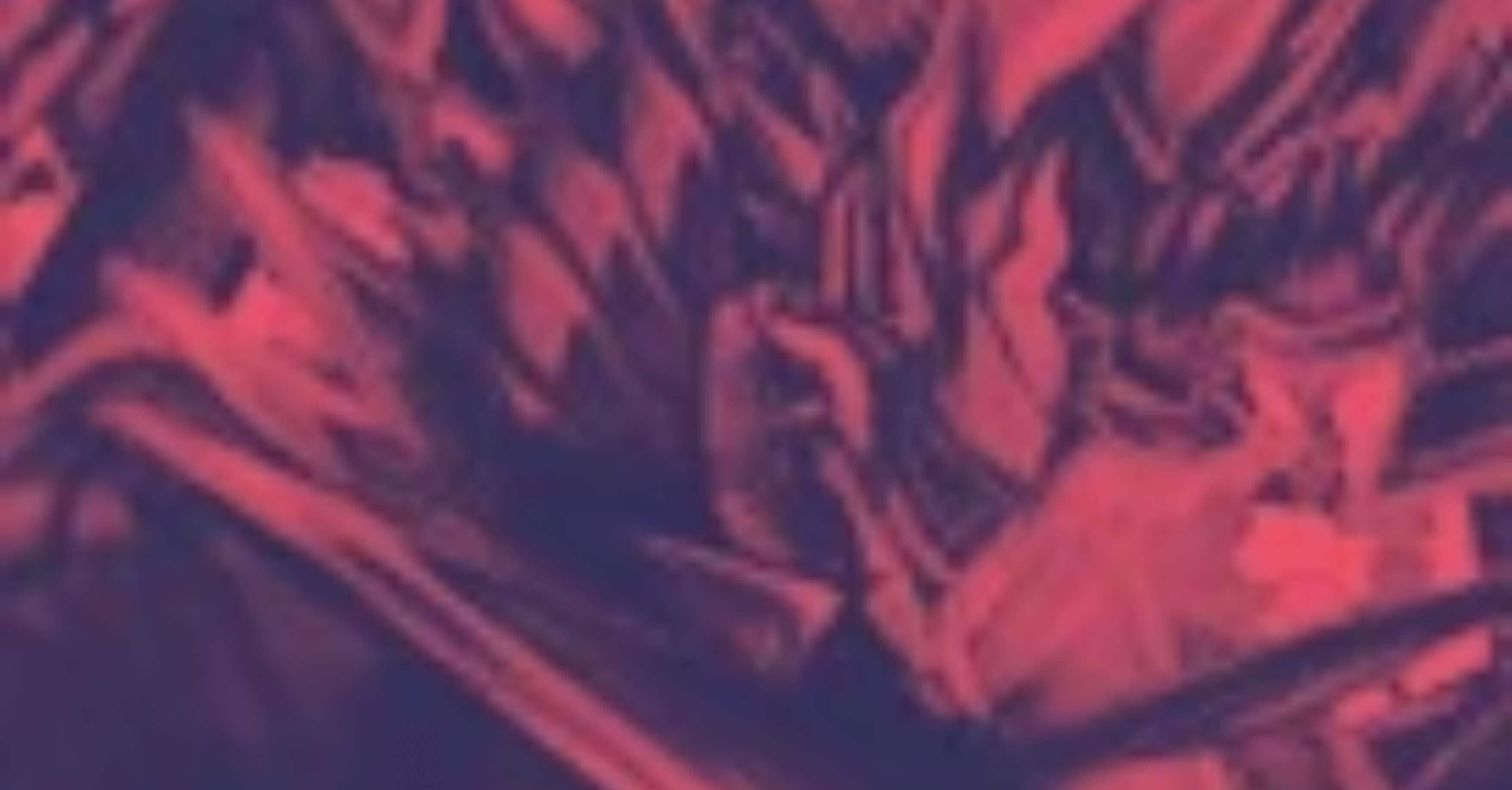 デアリ(アバク)墓地ソースの色々｜Tsuー