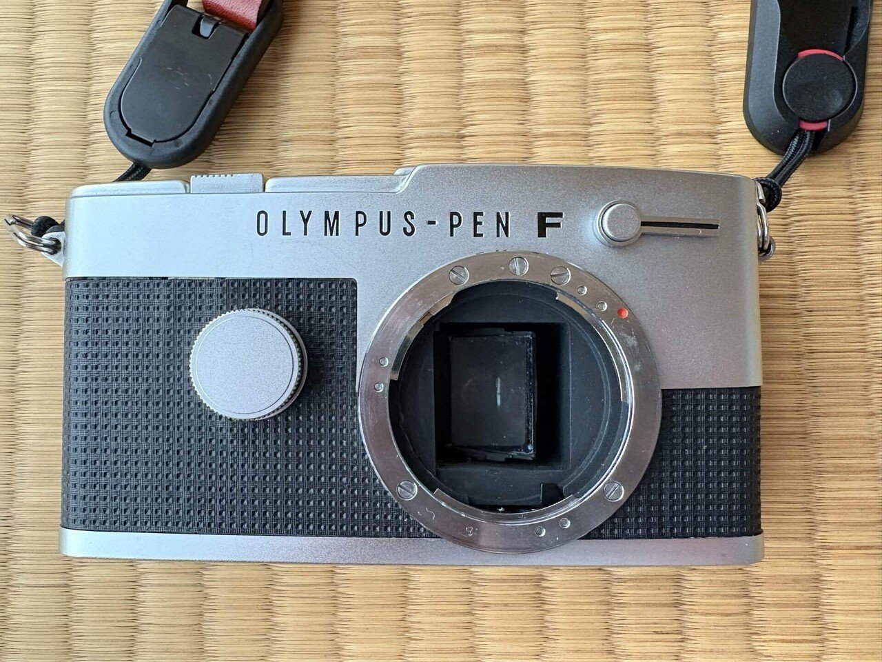 OLYMPUS PEN FTとの付き合い方 【作例あり】｜Genki Mishima