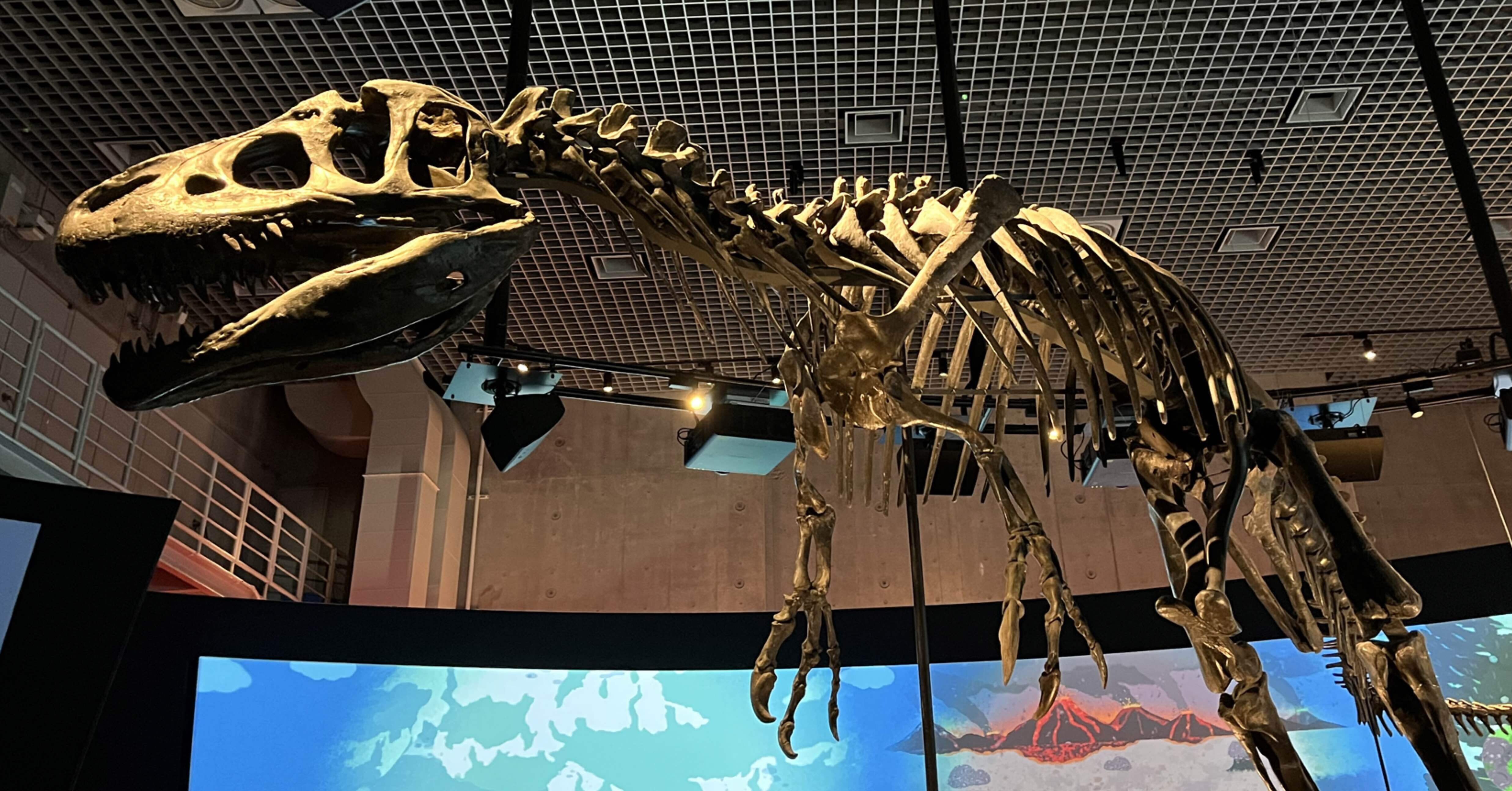 かはく探訪記 〜標本・剥製・化石編〜｜はるまき