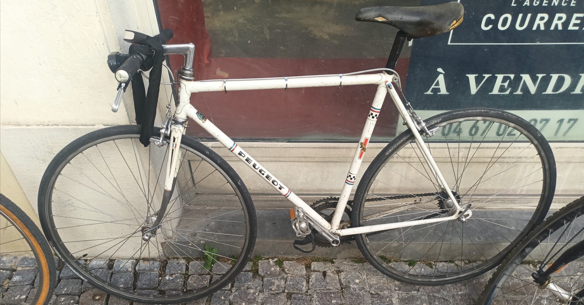 c1986d837a2ce17162b2eb9d55dd09