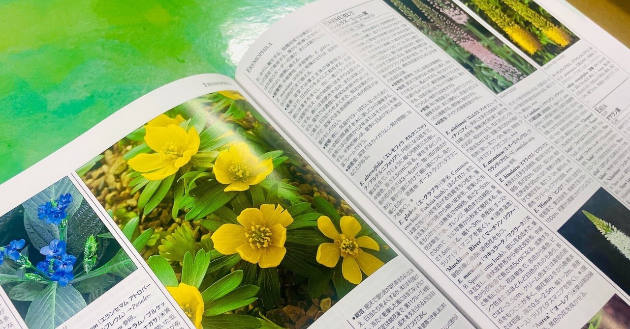 園芸植物大事典 コンパクト版 小学館 園芸植物大事典 コンパクト版