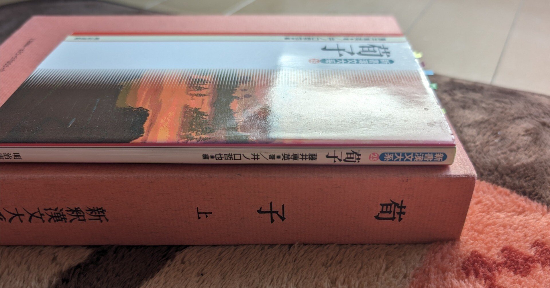 新釈漢文大系と新書漢文大系はどう違う？｜内藤てんちょー@ふらりと