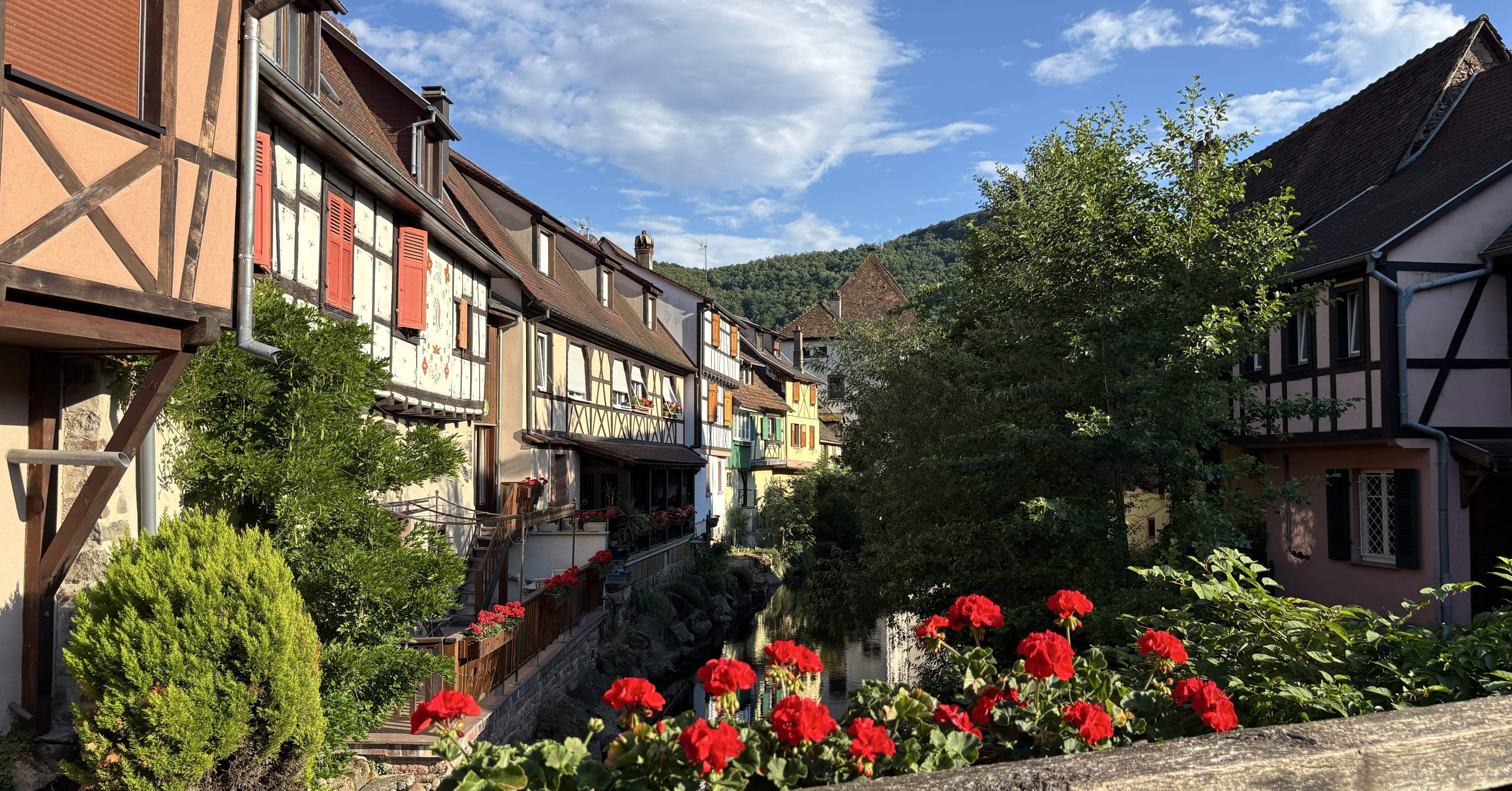 アルザス地方で夏休み｜フランス生活 🇫🇷 Life in France