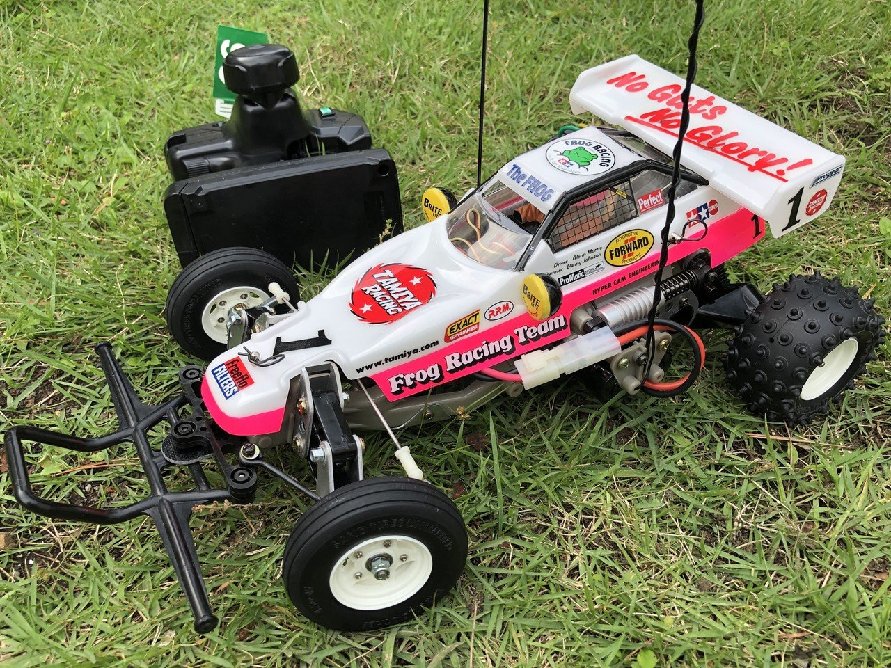 マイティフロッグ 35年の恋｜nwashy