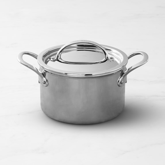 Williams Sonoma Signature Thermo-Clad™ Stainless-Steel Soup Pot