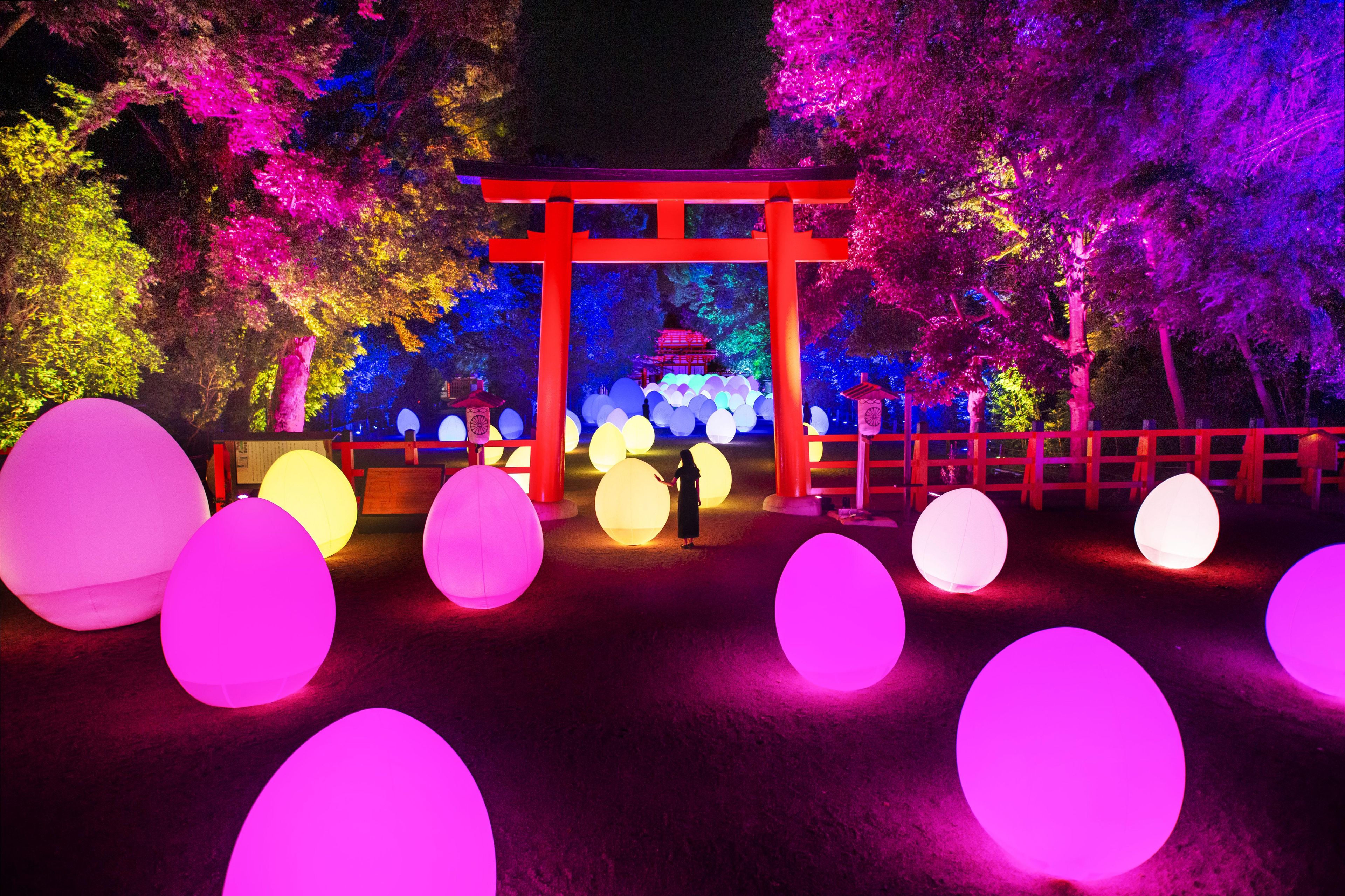 呼応する森と自立しつつも呼応する生命 - 下鴨神社 糺の森