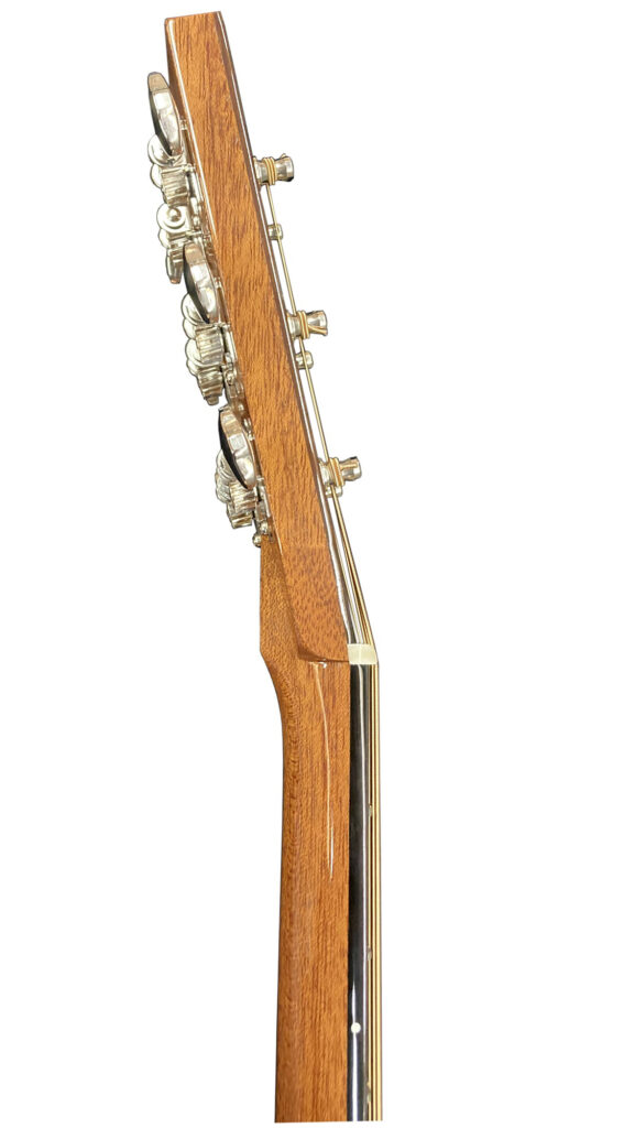 ソロ ヘリンボーン - ASTURIAS