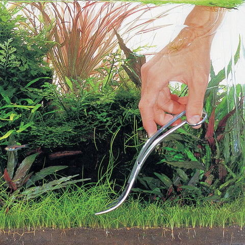 ADA Pro Scissors Wave – Aqua Forest Aquarium