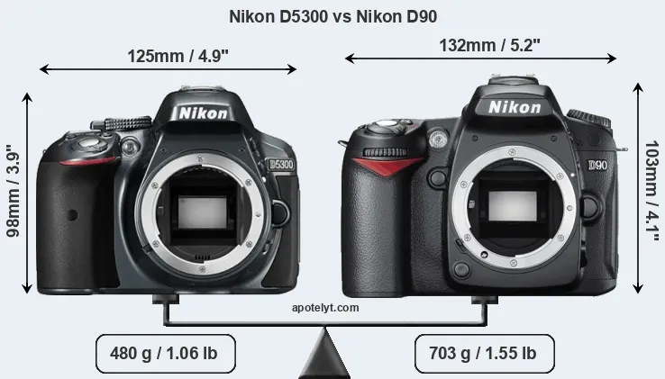 Nikon D5300 vs Nikon D90 Comparison Review