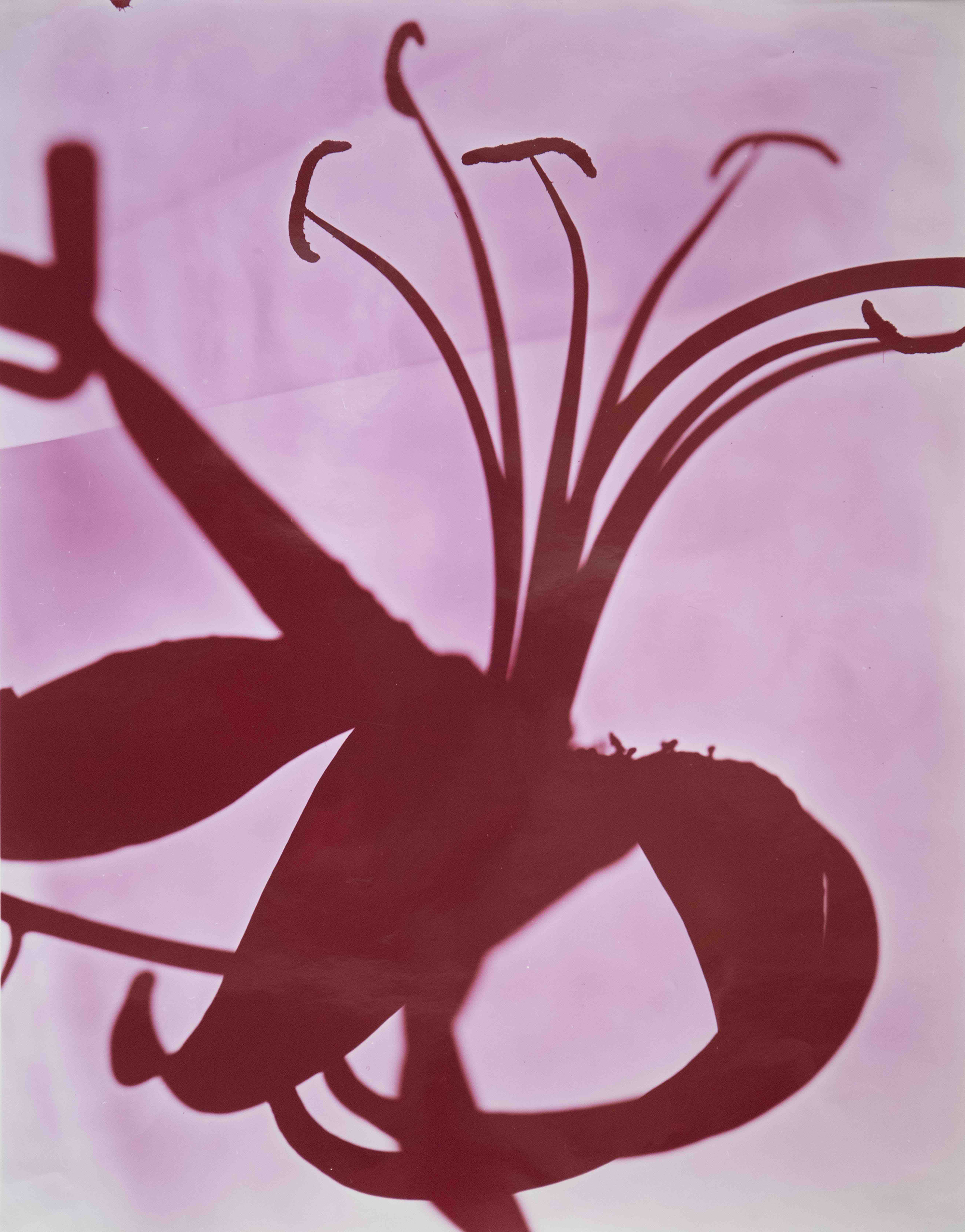 Wolfgang Tillmans Archives | Aperture