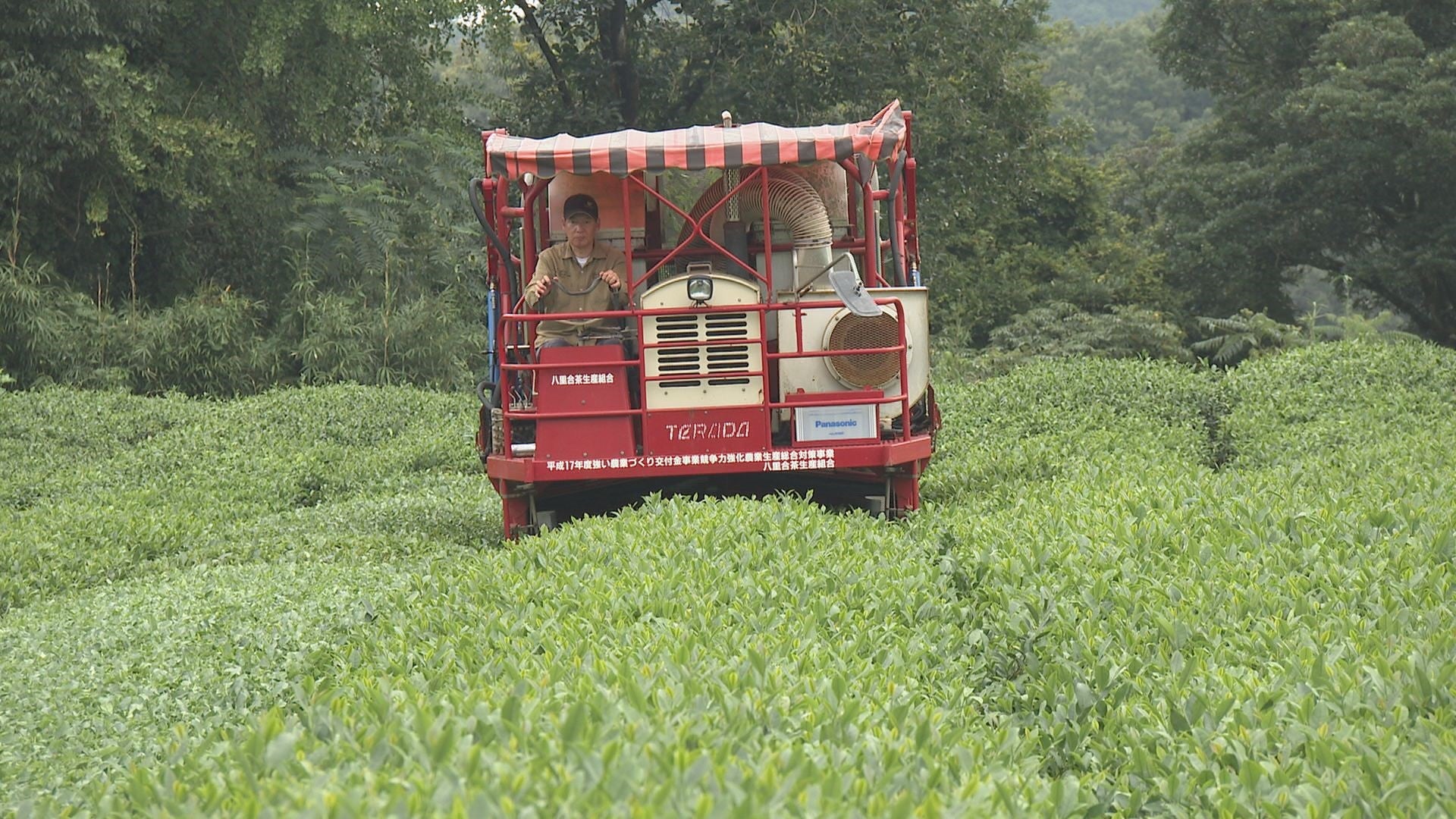世界が注目！有機緑茶の魅力 - RKB毎日放送
