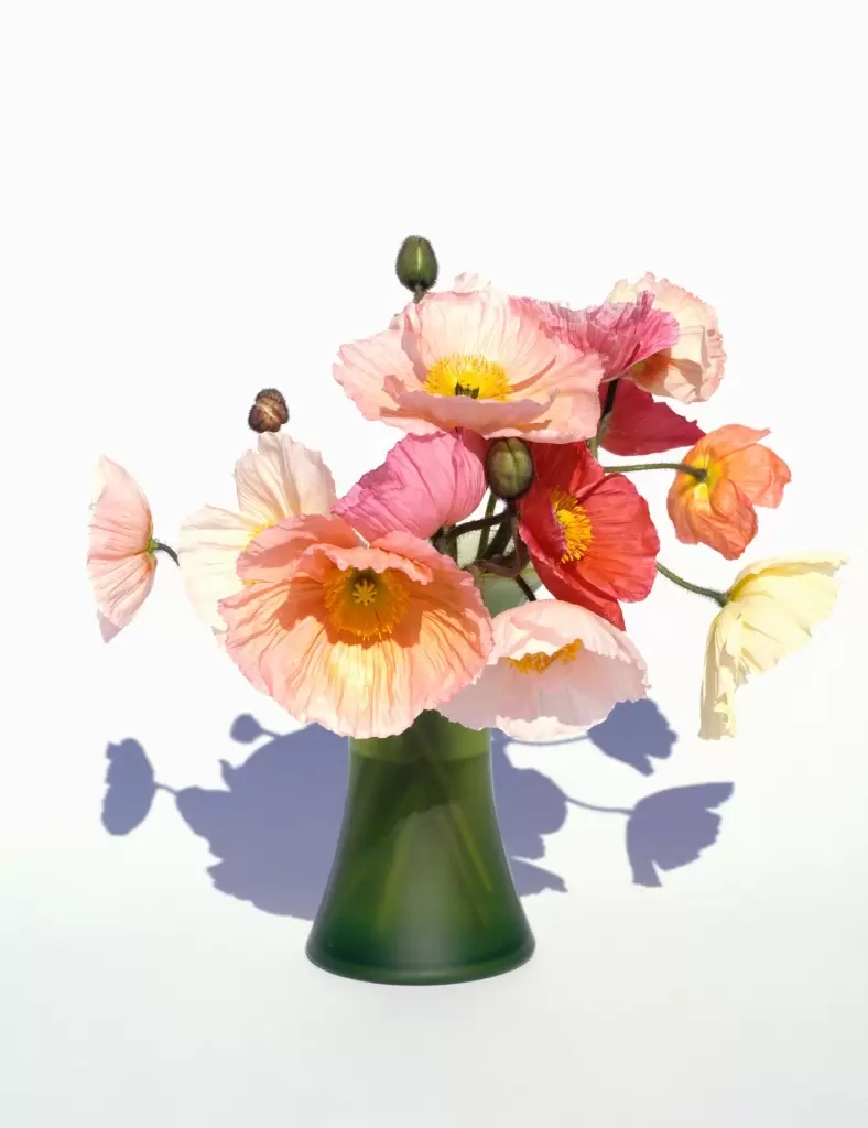 Yoshihiko Ueda “FLOWERS” | ArtSticker