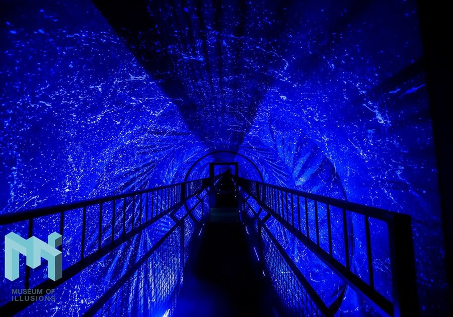 3131dad5-f6ba-4137-99e8-