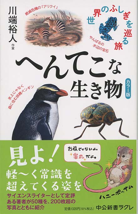 巨樹と日本人 : 異形の魅力を尋ねて | 新書マップ4D