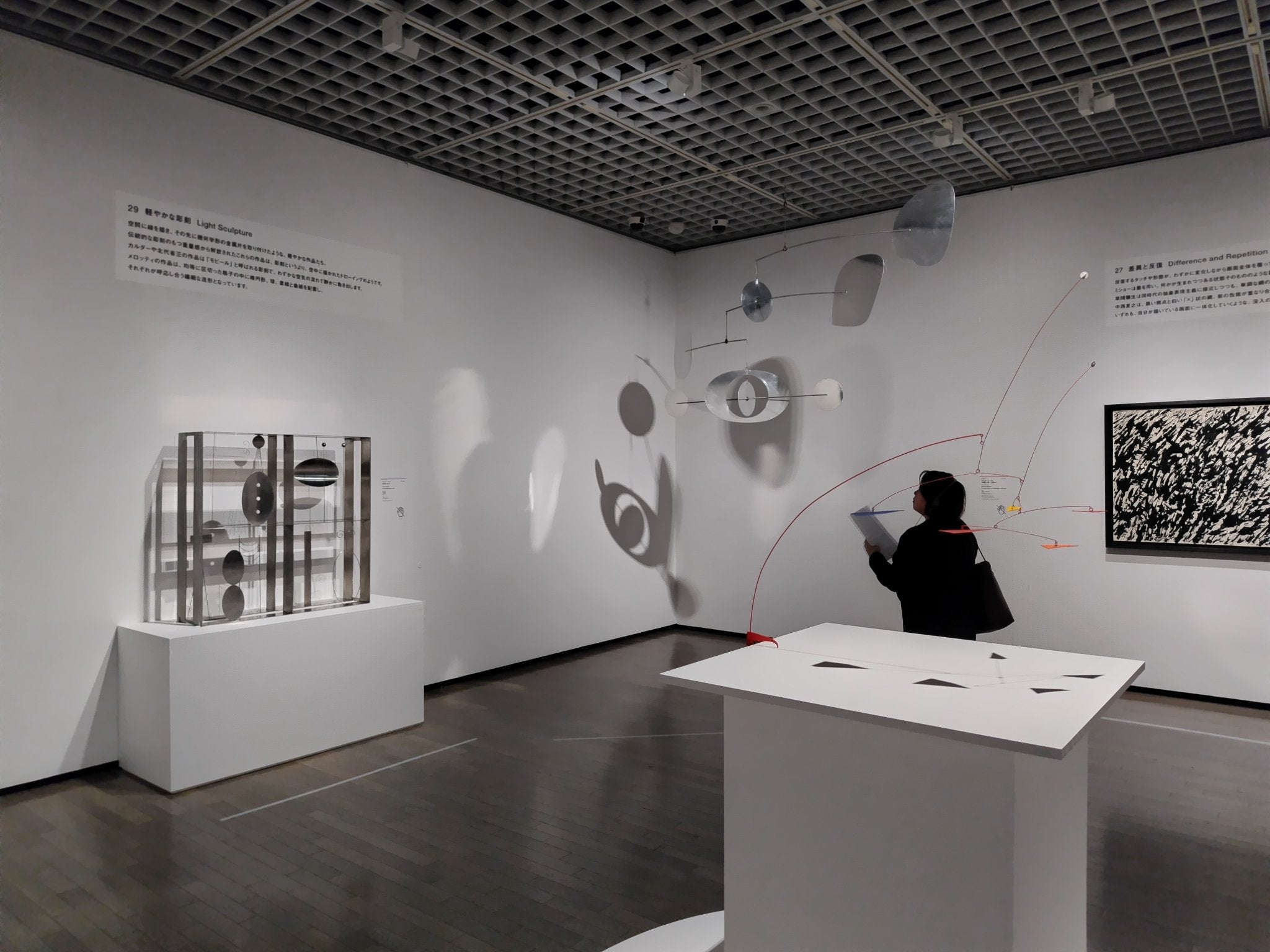 開幕】「TRIO パリ・東京・大阪 モダンアート・コレクション」東京国立