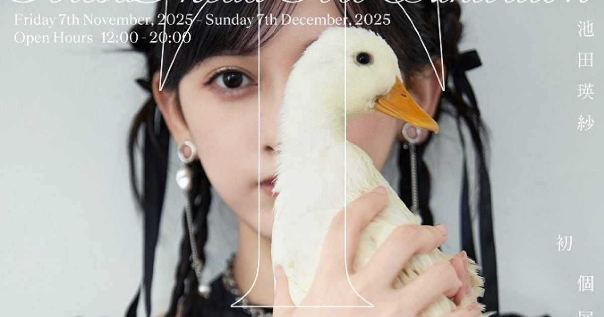 乃木坂46 池田瑛紗 「wings:あひるの夢」 ラグ てれぱんだ 乃木坂46