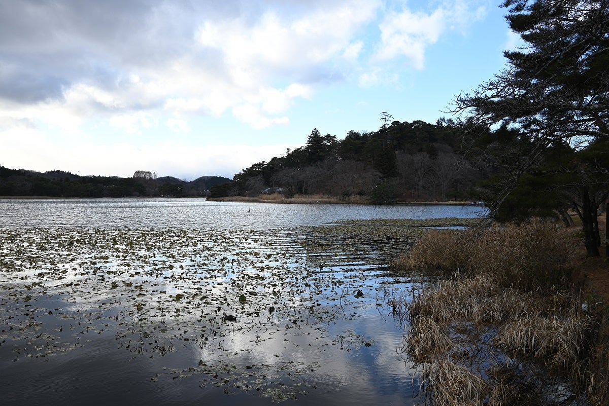 城、その「美しさ」の背景＞第125回 白河小峰城（続編） 松平定信が