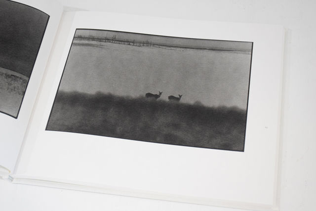 鹿渡り SHIKAWATARI / 白石ちえこ ON READING Online Shop