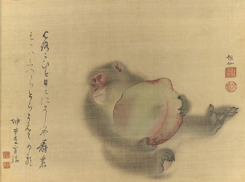 江戸時代中後期【森祖仙(狙仙)】 絹本淡彩 桜に猿 古美術 a8 森狙仙 瀑