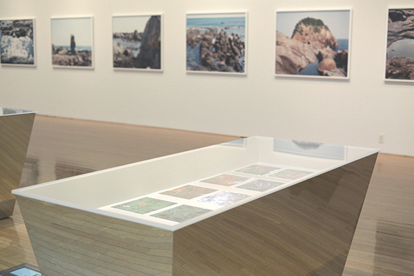 鈴木理策写真展──意識の流れ」「刺繍をまなぶ展」「具体の画家