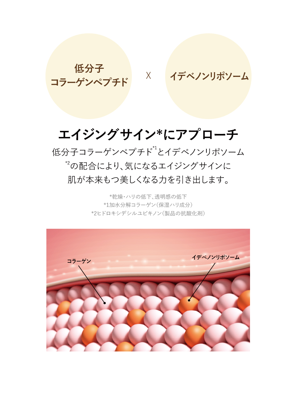 ARZTIN / プレステージEXクリーム