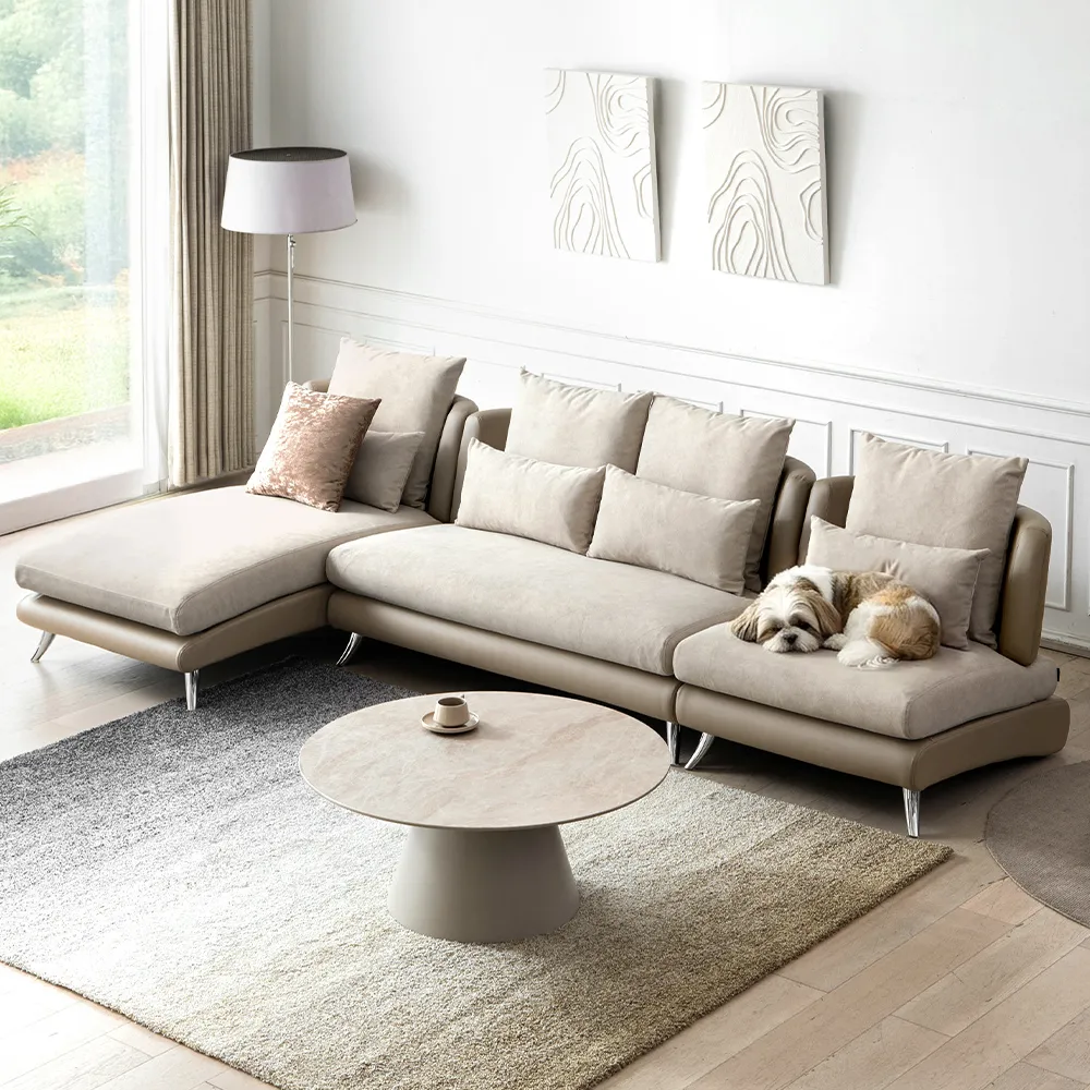 Bella curva フルセット コンパクト／レギュラー／ラージ