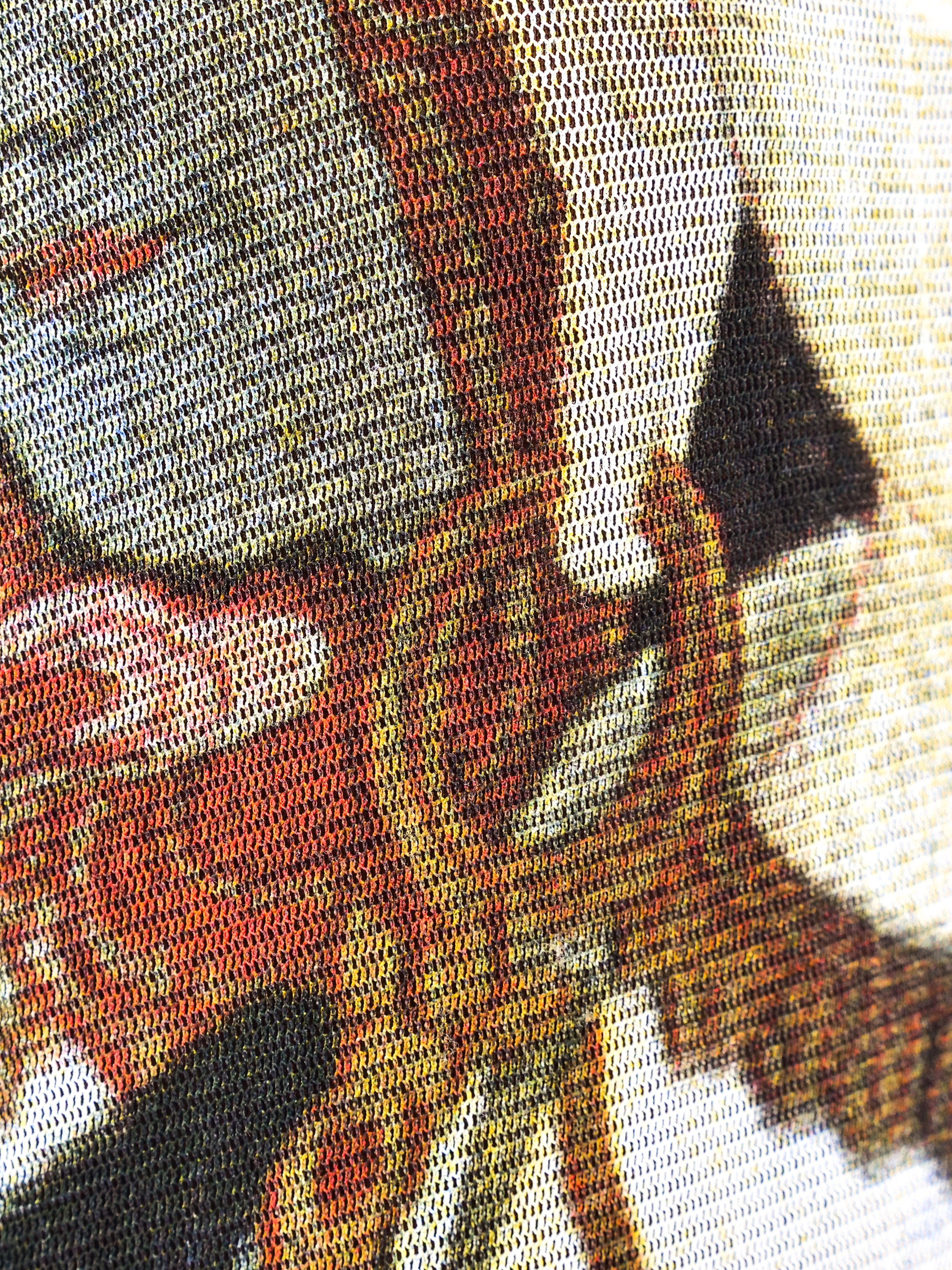 Vivienne Tam Buddha Printed Net Maxi Dress