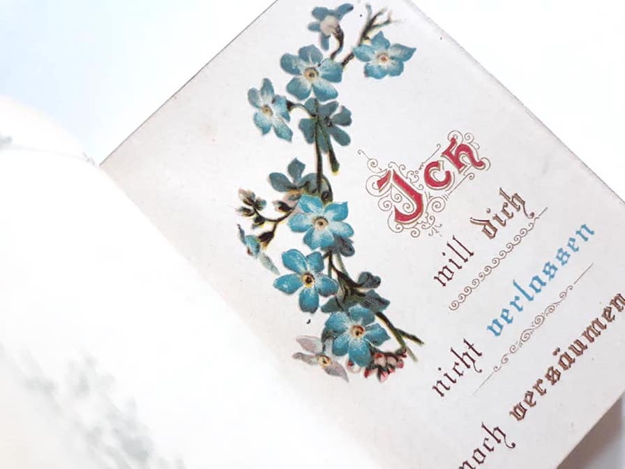 ドイツ 古書 アンティーク 勿忘草のメモリアルブック 青 洋書 希少