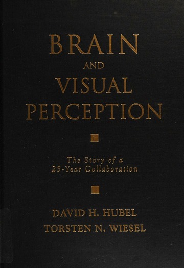 Brain and visual perception : the story of a 25-year collaboration