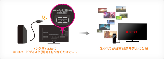B5/録画｜テレビ｜REGZA：東芝