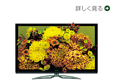 ZG2/TOP｜テレビ｜REGZA：東芝