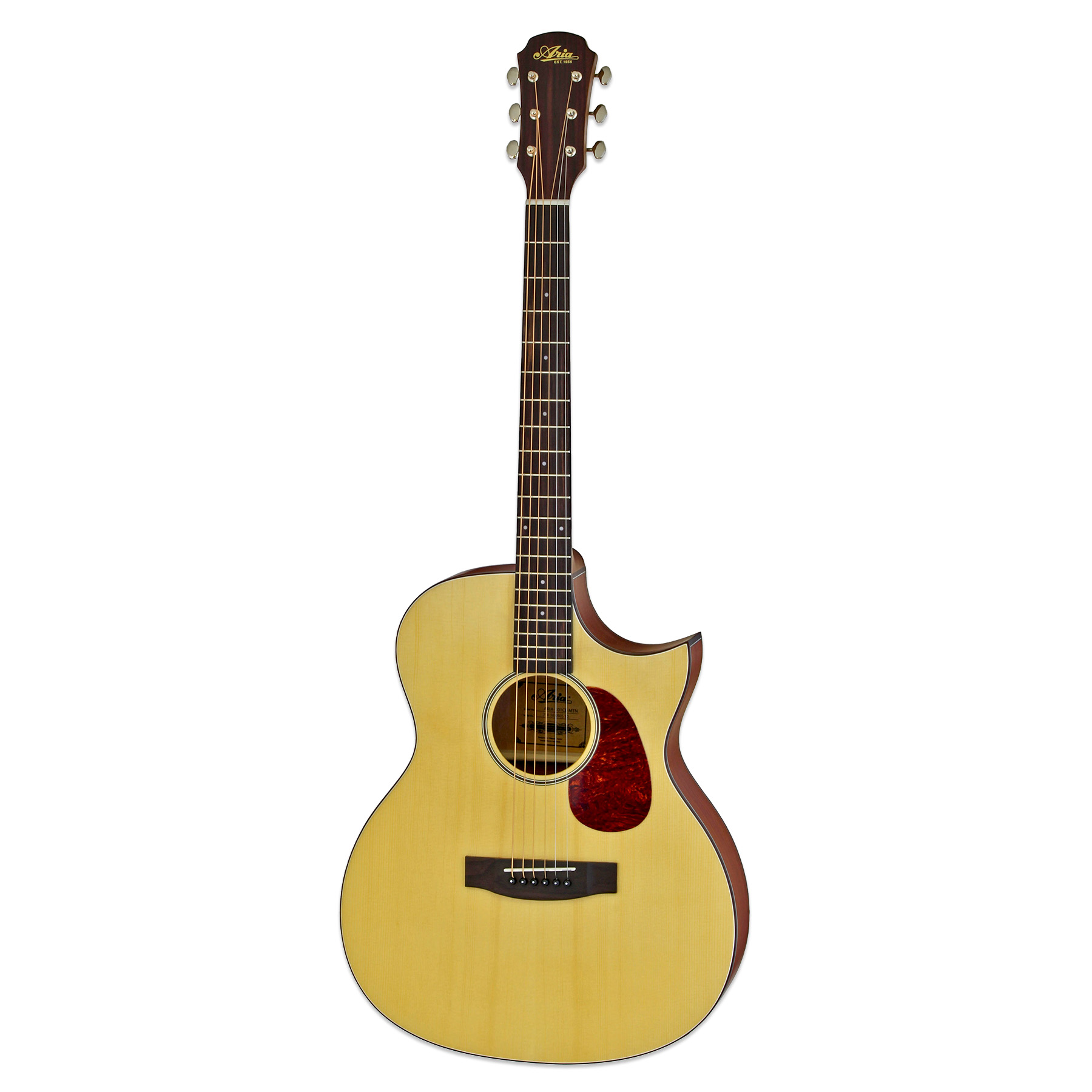 ARIA-101CE - Aria Guitars - Electric, Acoustic, Classical Guitars