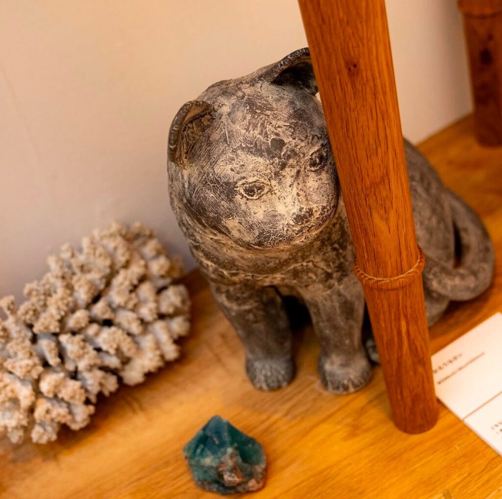 どこで買える？】石田ゆり子さんの愛用アイテム11点を調べてみた