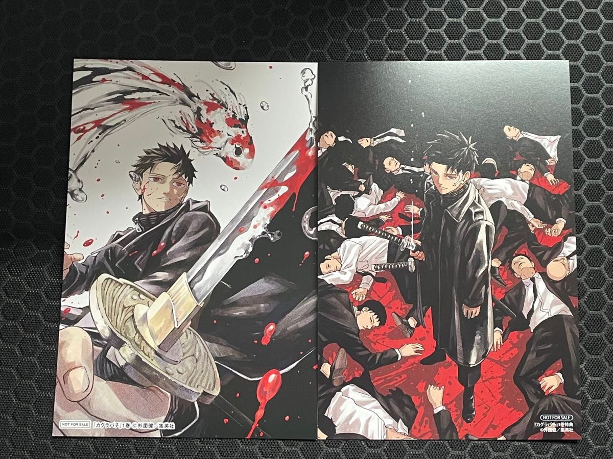 カグラバチ 1巻 TSUTAYA アニメイト特典 イラストカード2種｜Yahoo