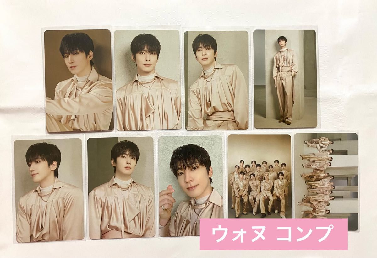 SEVENTEEN ザセム the saem 八尾限定50枚 トレカ ウォヌ ① SEVENTEEN