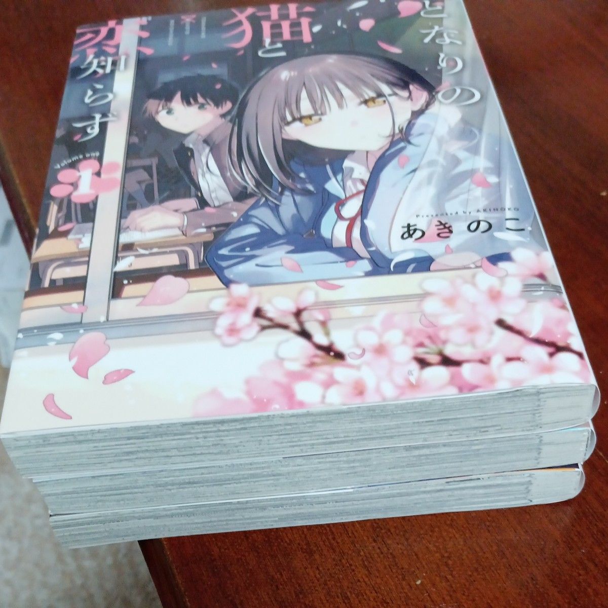 ほぼ未使用 全巻初版 既刊3巻セット となりの猫と恋知らず （ビッグ