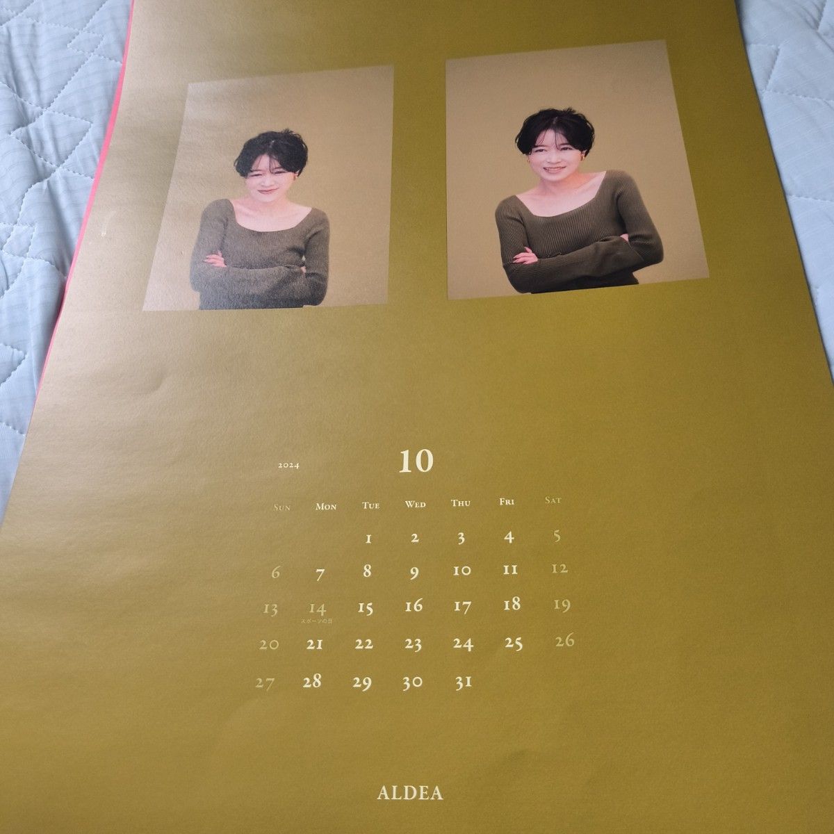 中森明菜ファンクラブALDEA限定2024年カレンダー｜Yahoo!フリマ（旧