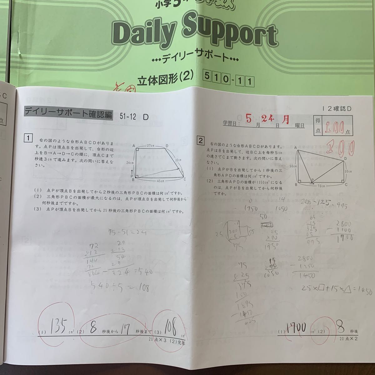 サピックス 小5 算数 デイリーサポート 通年37回セット解答解説付き B4