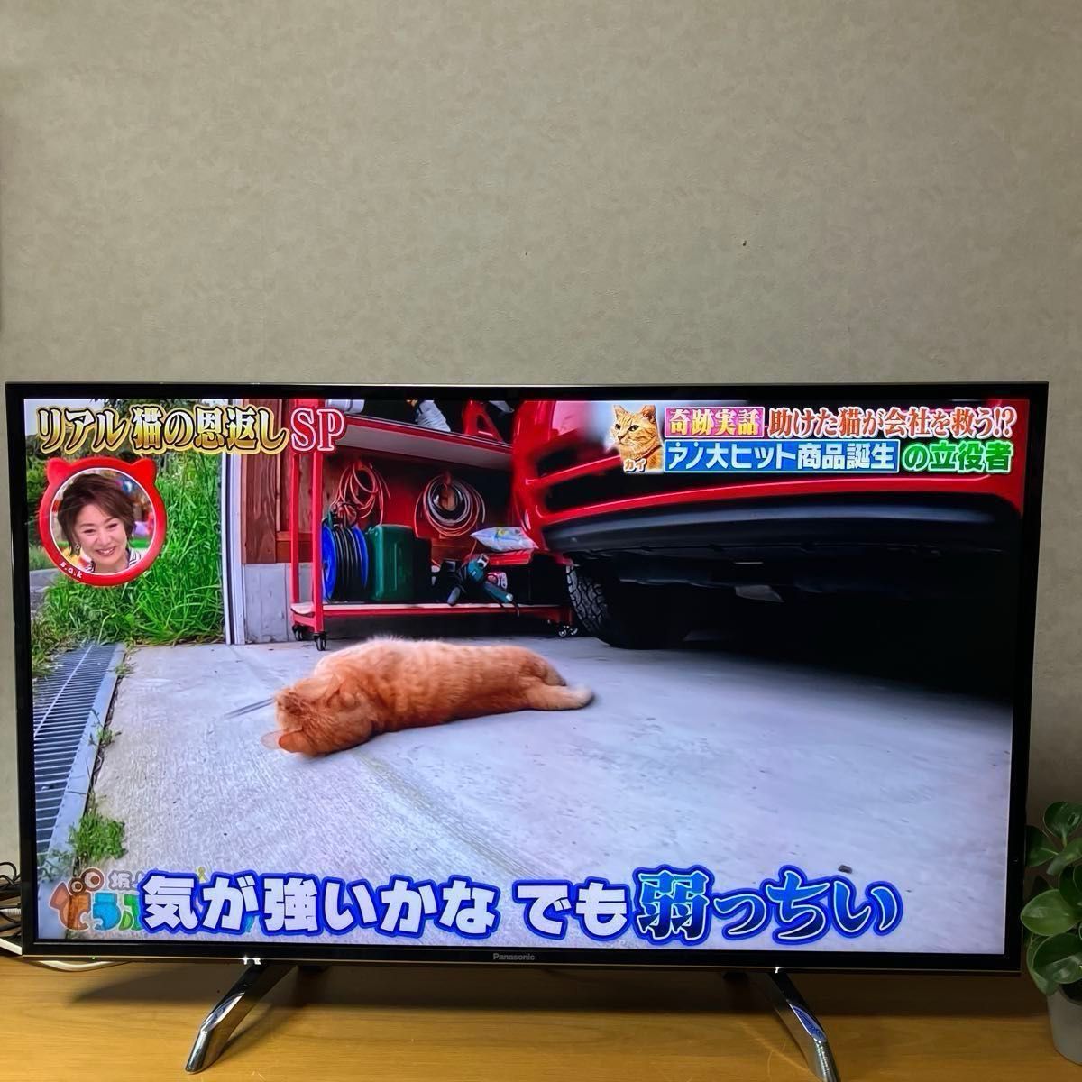 パナソニック 43V型 4K 液晶テレビ スマートビエラ TH-43DX750｜Yahoo